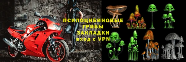 МДПВ Вязьма