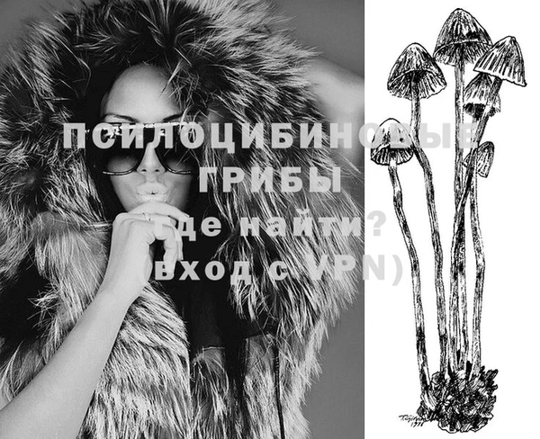 PSILOCYBIN Абинск