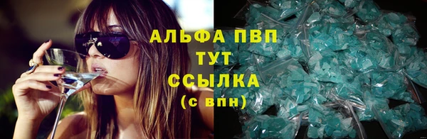 сатива Абаза