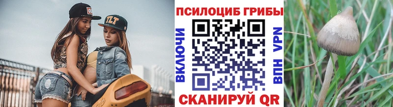 что такое   Полярный  Псилоцибиновые грибы MAGIC MUSHROOMS 